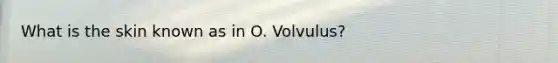 What is the skin known as in O. Volvulus?