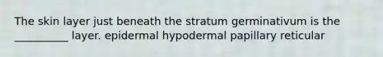 The skin layer just beneath the stratum germinativum is the __________ layer. epidermal hypodermal papillary reticular