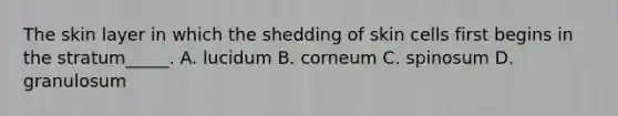 The skin layer in which the shedding of skin cells first begins in the stratum_____. A. lucidum B. corneum C. spinosum D. granulosum