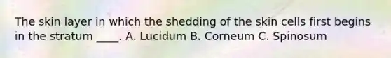 The skin layer in which the shedding of the skin cells first begins in the stratum ____. A. Lucidum B. Corneum C. Spinosum