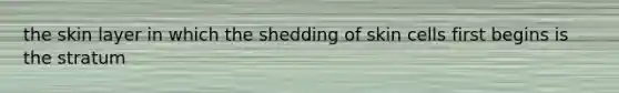 the skin layer in which the shedding of skin cells first begins is the stratum