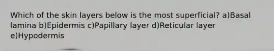 Which of the skin layers below is the most superficial? a)Basal lamina b)Epidermis c)Papillary layer d)Reticular layer e)Hypodermis