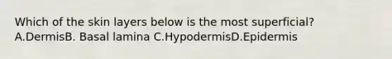 Which of the skin layers below is the most superficial? A.DermisB. Basal lamina C.HypodermisD.Epidermis