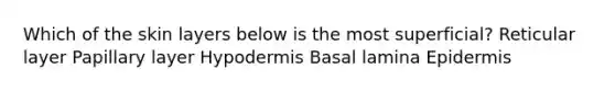 Which of the skin layers below is the most superficial? Reticular layer Papillary layer Hypodermis Basal lamina Epidermis