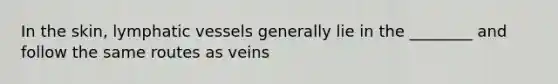 In the skin, lymphatic vessels generally lie in the ________ and follow the same routes as veins
