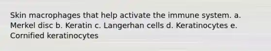 Skin macrophages that help activate the immune system. a. Merkel disc b. Keratin c. Langerhan cells d. Keratinocytes e. Cornified keratinocytes