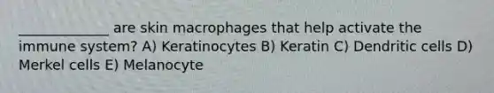 _____________ are skin macrophages that help activate the immune system? A) Keratinocytes B) Keratin C) Dendritic cells D) Merkel cells E) Melanocyte