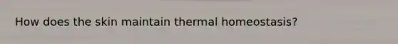 How does the skin maintain thermal homeostasis?