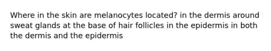 Where in the skin are melanocytes located? in the dermis around sweat glands at the base of hair follicles in the epidermis in both the dermis and the epidermis