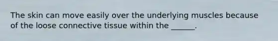 The skin can move easily over the underlying muscles because of the loose connective tissue within the ______.