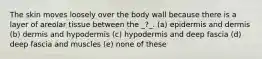 The skin moves loosely over the body wall because there is a layer of areolar tissue between the _?_. (a) epidermis and dermis (b) dermis and hypodermis (c) hypodermis and deep fascia (d) deep fascia and muscles (e) none of these