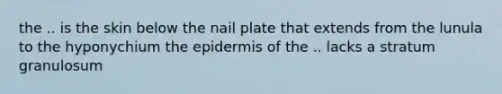 the .. is the skin below the nail plate that extends from the lunula to the hyponychium the epidermis of the .. lacks a stratum granulosum