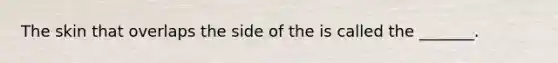 The skin that overlaps the side of the is called the _______.