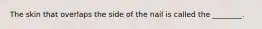 The skin that overlaps the side of the nail is called the ________.