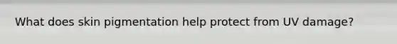 What does skin pigmentation help protect from UV damage?
