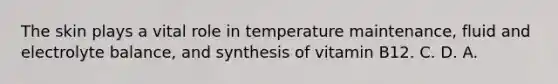 The skin plays a vital role in temperature maintenance, fluid and electrolyte balance, and synthesis of vitamin B12. C. D. A.