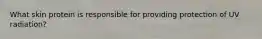 What skin protein is responsible for providing protection of UV radiation?