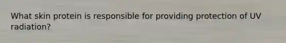 What skin protein is responsible for providing protection of UV radiation?