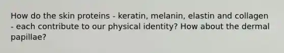 How do the skin proteins - keratin, melanin, elastin and collagen - each contribute to our physical identity? How about the dermal papillae?