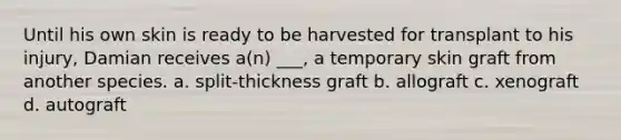 Until his own skin is ready to be harvested for transplant to his injury, Damian receives a(n) ___, a temporary skin graft from another species. a. split-thickness graft b. allograft c. xenograft d. autograft