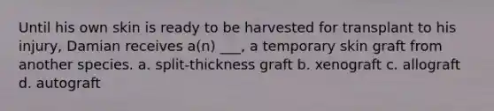 Until his own skin is ready to be harvested for transplant to his injury, Damian receives a(n) ___, a temporary skin graft from another species. a. split-thickness graft b. xenograft c. allograft d. autograft