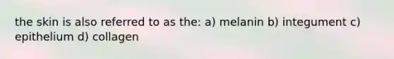 the skin is also referred to as the: a) melanin b) integument c) epithelium d) collagen