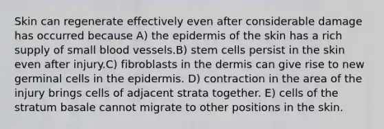 Skin can regenerate effectively even after considerable damage has occurred because A) <a href='https://www.questionai.com/knowledge/kBFgQMpq6s-the-epidermis' class='anchor-knowledge'>the epidermis</a> of the skin has a rich supply of small <a href='https://www.questionai.com/knowledge/kZJ3mNKN7P-blood-vessels' class='anchor-knowledge'>blood vessels</a>.B) stem cells persist in the skin even after injury.C) fibroblasts in <a href='https://www.questionai.com/knowledge/kEsXbG6AwS-the-dermis' class='anchor-knowledge'>the dermis</a> can give rise to new germinal cells in the epidermis. D) contraction in the area of the injury brings cells of adjacent strata together. E) cells of the stratum basale cannot migrate to other positions in the skin.