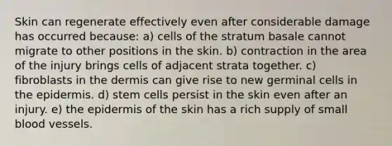 Skin can regenerate effectively even after considerable damage has occurred because: a) cells of the stratum basale cannot migrate to other positions in the skin. b) contraction in the area of the injury brings cells of adjacent strata together. c) fibroblasts in <a href='https://www.questionai.com/knowledge/kEsXbG6AwS-the-dermis' class='anchor-knowledge'>the dermis</a> can give rise to new germinal cells in <a href='https://www.questionai.com/knowledge/kBFgQMpq6s-the-epidermis' class='anchor-knowledge'>the epidermis</a>. d) stem cells persist in the skin even after an injury. e) the epidermis of the skin has a rich supply of small blood vessels.