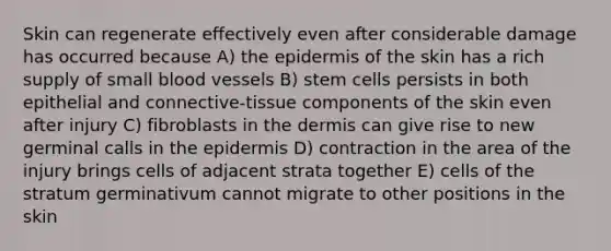 Skin can regenerate effectively even after considerable damage has occurred because A) the epidermis of the skin has a rich supply of small blood vessels B) stem cells persists in both epithelial and connective-tissue components of the skin even after injury C) fibroblasts in the dermis can give rise to new germinal calls in the epidermis D) contraction in the area of the injury brings cells of adjacent strata together E) cells of the stratum germinativum cannot migrate to other positions in the skin