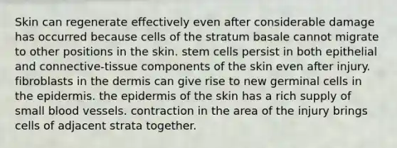 Skin can regenerate effectively even after considerable damage has occurred because cells of the stratum basale cannot migrate to other positions in the skin. stem cells persist in both epithelial and connective-tissue components of the skin even after injury. fibroblasts in the dermis can give rise to new germinal cells in the epidermis. the epidermis of the skin has a rich supply of small blood vessels. contraction in the area of the injury brings cells of adjacent strata together.