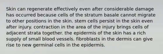 Skin can regenerate effectively even after considerable damage has occurred because cells of the stratum basale cannot migrate to other positions in the skin. stem cells persist in the skin even after injury. contraction in the area of the injury brings cells of adjacent strata together. the epidermis of the skin has a rich supply of small blood vessels. fibroblasts in the dermis can give rise to new germinal cells in the epidermis.