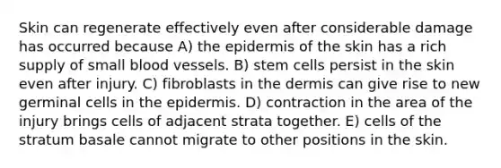 Skin can regenerate effectively even after considerable damage has occurred because A) <a href='https://www.questionai.com/knowledge/kBFgQMpq6s-the-epidermis' class='anchor-knowledge'>the epidermis</a> of the skin has a rich supply of small <a href='https://www.questionai.com/knowledge/kZJ3mNKN7P-blood-vessels' class='anchor-knowledge'>blood vessels</a>. B) stem cells persist in the skin even after injury. C) fibroblasts in <a href='https://www.questionai.com/knowledge/kEsXbG6AwS-the-dermis' class='anchor-knowledge'>the dermis</a> can give rise to new germinal cells in the epidermis. D) contraction in the area of the injury brings cells of adjacent strata together. E) cells of the stratum basale cannot migrate to other positions in the skin.