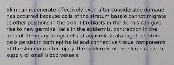 Skin can regenerate effectively even after considerable damage has occurred because cells of the stratum basale cannot migrate to other positions in the skin. fibroblasts in the dermis can give rise to new germinal cells in the epidermis. contraction in the area of the injury brings cells of adjacent strata together. stem cells persist in both epithelial and connective-tissue components of the skin even after injury. the epidermis of the skin has a rich supply of small blood vessels.