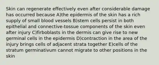 Skin can regenerate effectively even after considerable damage has occurred because A)the epidermis of the skin has a rich supply of small blood vessels B)stem cells persist in both epithelial and connective-tossue components of the skin even after injury C)firboblasts in the dermis can give rise to new germinal cells in the epidermis D)contraction in the area of the injury brings cells of adjacent strata together E)cells of the stratum germinativum cannot migrate to other positions in the skin