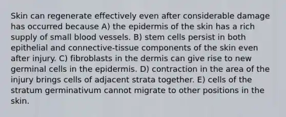 Skin can regenerate effectively even after considerable damage has occurred because A) the epidermis of the skin has a rich supply of small blood vessels. B) stem cells persist in both epithelial and connective-tissue components of the skin even after injury. C) fibroblasts in the dermis can give rise to new germinal cells in the epidermis. D) contraction in the area of the injury brings cells of adjacent strata together. E) cells of the stratum germinativum cannot migrate to other positions in the skin.