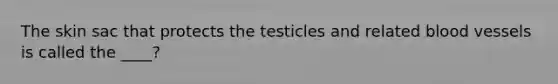 The skin sac that protects the testicles and related blood vessels is called the ____?