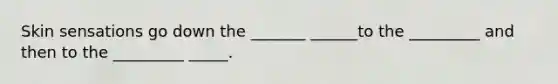 Skin sensations go down the _______ ______to the _________ and then to the _________ _____.