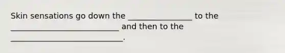 Skin sensations go down the ________________ to the ___________________________ and then to the ____________________________.