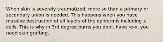 When skin is severely traumatized, more so than a primary or secondary union is needed. This happens when you have massive destruction of all layers of <a href='https://www.questionai.com/knowledge/kBFgQMpq6s-the-epidermis' class='anchor-knowledge'>the epidermis</a> including x cells. This is why in 3rd degree burns you don't have re-x, you need skin grafting.