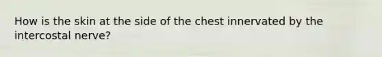 How is the skin at the side of the chest innervated by the intercostal nerve?