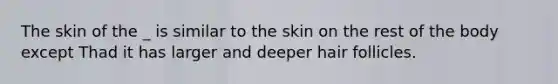 The skin of the _ is similar to the skin on the rest of the body except Thad it has larger and deeper hair follicles.