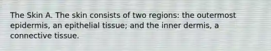 The Skin A. The skin consists of two regions: the outermost epidermis, an <a href='https://www.questionai.com/knowledge/k7dms5lrVY-epithelial-tissue' class='anchor-knowledge'>epithelial tissue</a>; and the inner dermis, a <a href='https://www.questionai.com/knowledge/kYDr0DHyc8-connective-tissue' class='anchor-knowledge'>connective tissue</a>.