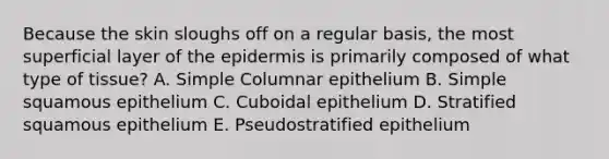 Because the skin sloughs off on a regular basis, the most superficial layer of the epidermis is primarily composed of what type of tissue? A. Simple Columnar epithelium B. Simple squamous epithelium C. Cuboidal epithelium D. Stratified squamous epithelium E. Pseudostratified epithelium