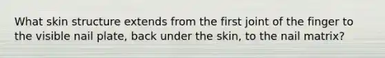 What skin structure extends from the first joint of the finger to the visible nail plate, back under the skin, to the nail matrix?