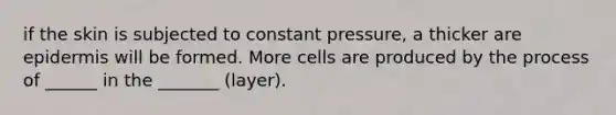 if the skin is subjected to constant pressure, a thicker are epidermis will be formed. More cells are produced by the process of ______ in the _______ (layer).