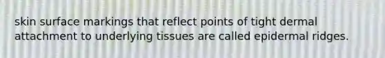 skin surface markings that reflect points of tight dermal attachment to underlying tissues are called epidermal ridges.