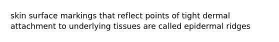 skin surface markings that reflect points of tight dermal attachment to underlying tissues are called epidermal ridges