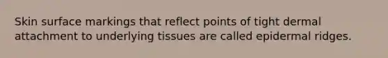Skin surface markings that reflect points of tight dermal attachment to underlying tissues are called epidermal ridges.