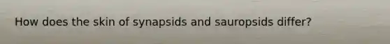 How does the skin of synapsids and sauropsids differ?