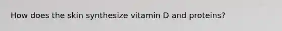 How does the skin synthesize vitamin D and proteins?